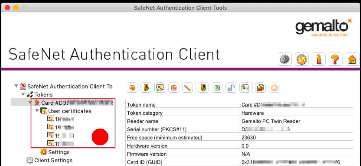 Check the smartcard is working - Welcome to CIB Remote Access